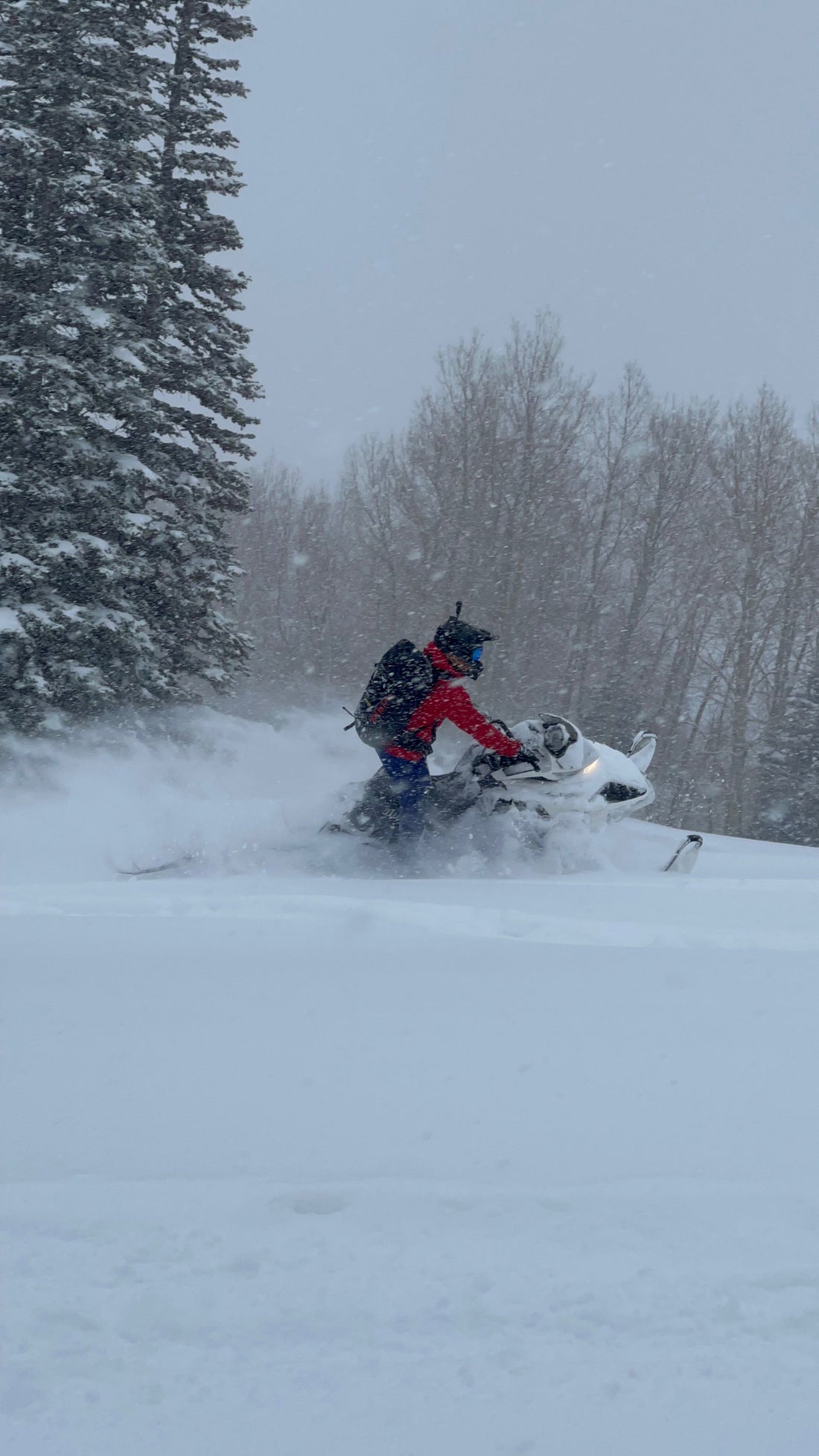 Sled Skiing