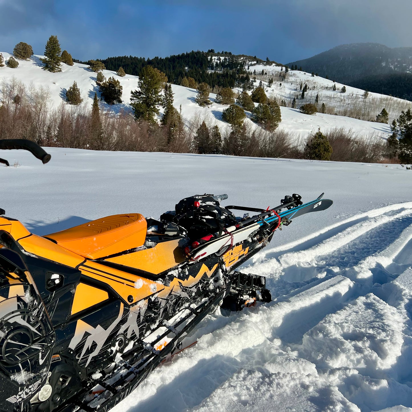 A close-up of a snowmobile equipped with a backcountry ski rack system, securely holding a pair of skis along the side. The skis are fastened with sturdy brackets and straps, positioned to avoid interference with the tunnel bag, which sits neatly behind the seat. Snow-covered tracks and a powdery trail in the background highlight the rugged, off-trail setting.